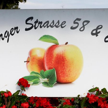 Ferienhof Waggershauser ฟรีดริชส์ฮาเฟน ภายนอก รูปภาพ