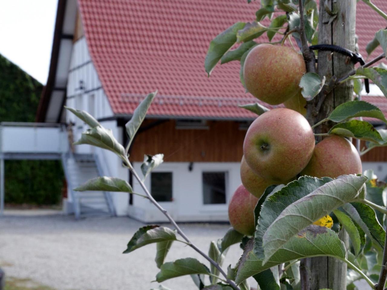 Ferienhof Waggershauser ฟรีดริชส์ฮาเฟน ภายนอก รูปภาพ
